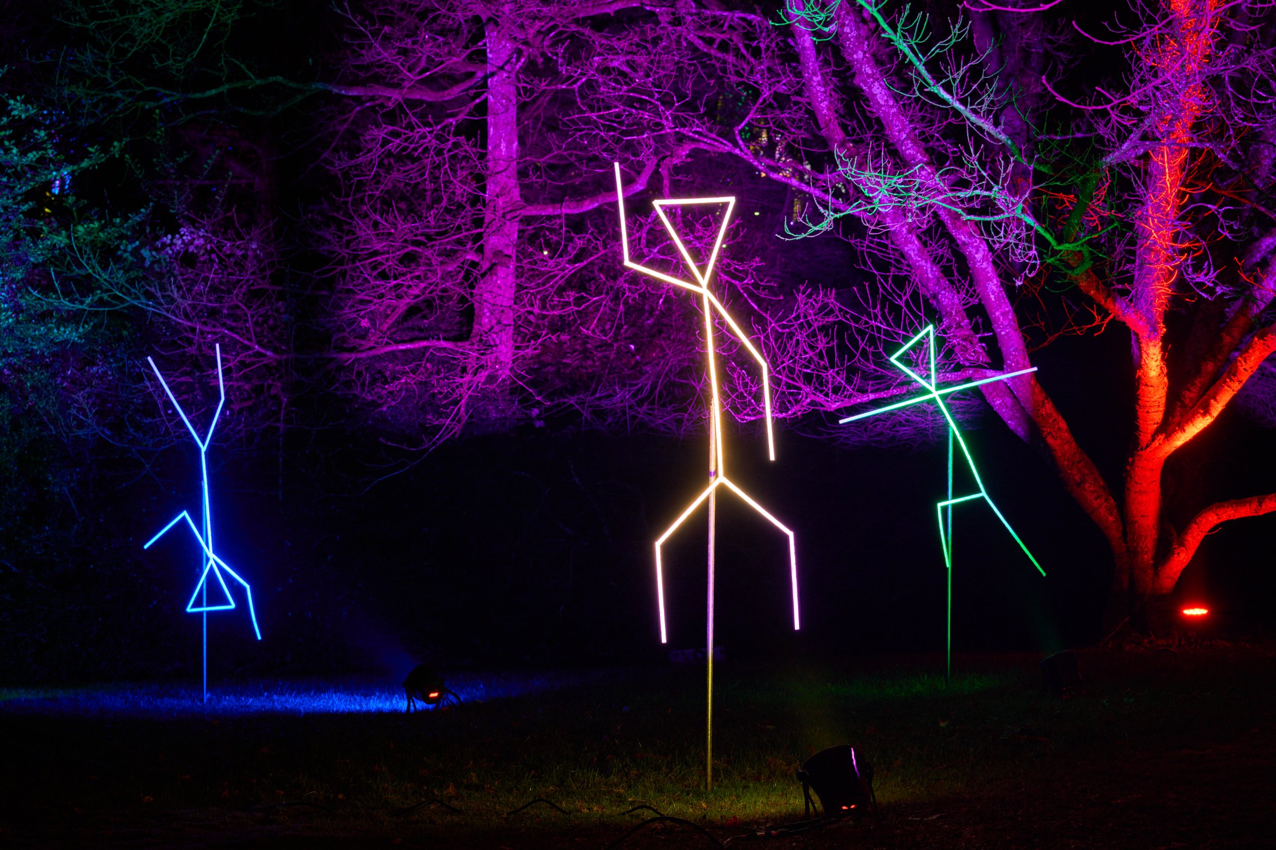 2025 02 04 Parkleuchten 0265